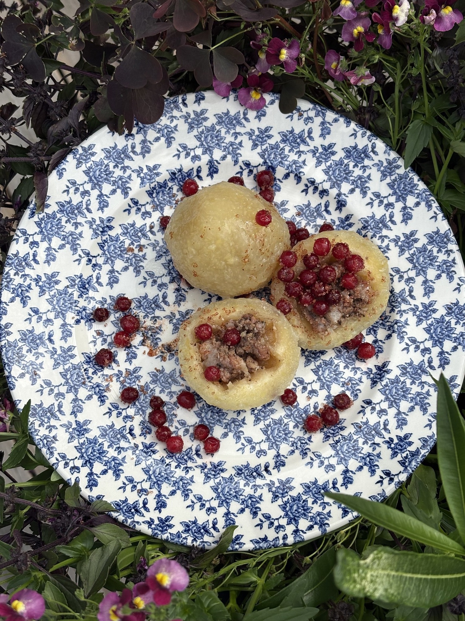 Två kroppkakor på blommig blåvit tallrik, en delad så köttfyllningen syns, strödda med röda lingon
