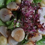 Halstrade pilgrimsmusslor med örtsallad, citron och Marconamandel